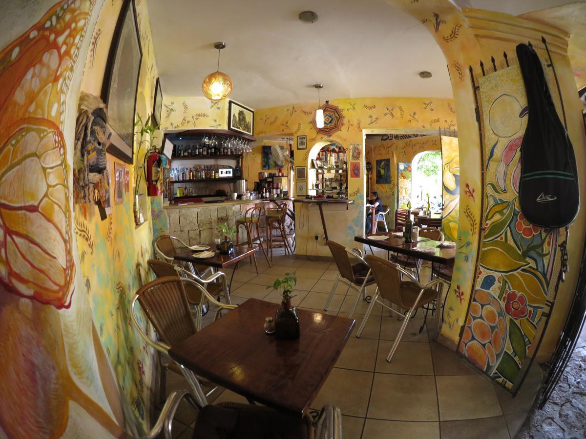 Casa Tucan Hotel Плая-дель-Кармен Экстерьер фото